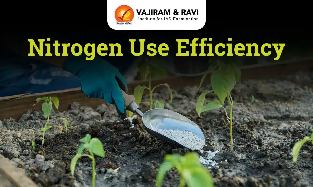 Nitrogen Use Efficiency