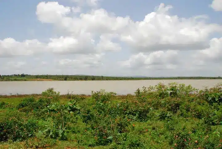 Nugu Wildlife Sanctuary