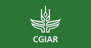 One CGIAR Global Initiative