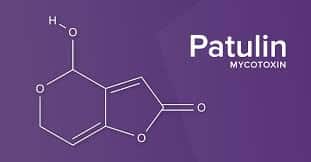 What is Patulin?