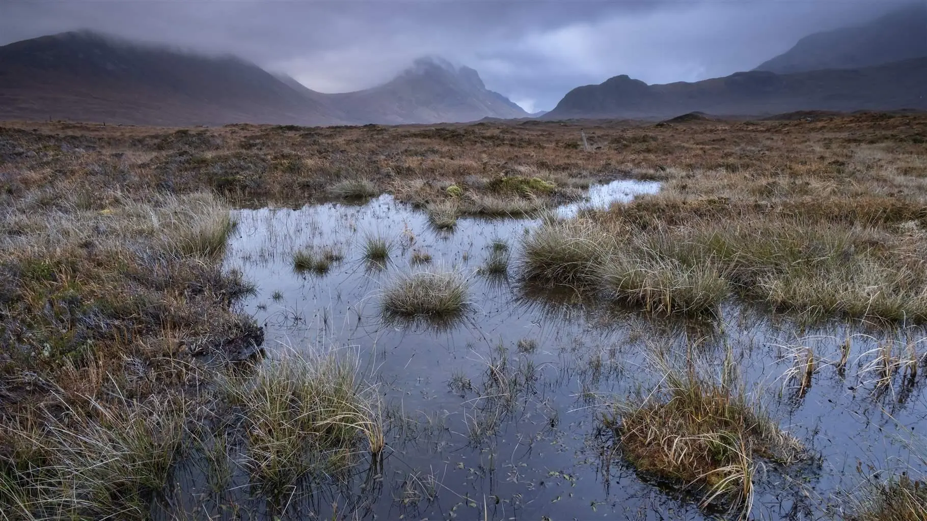 What are Peatlands?