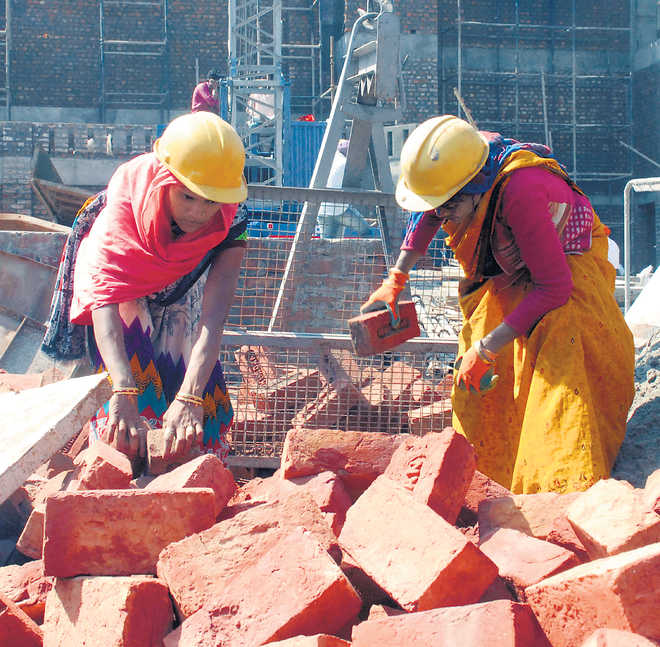 Periodic Labour Force Survey