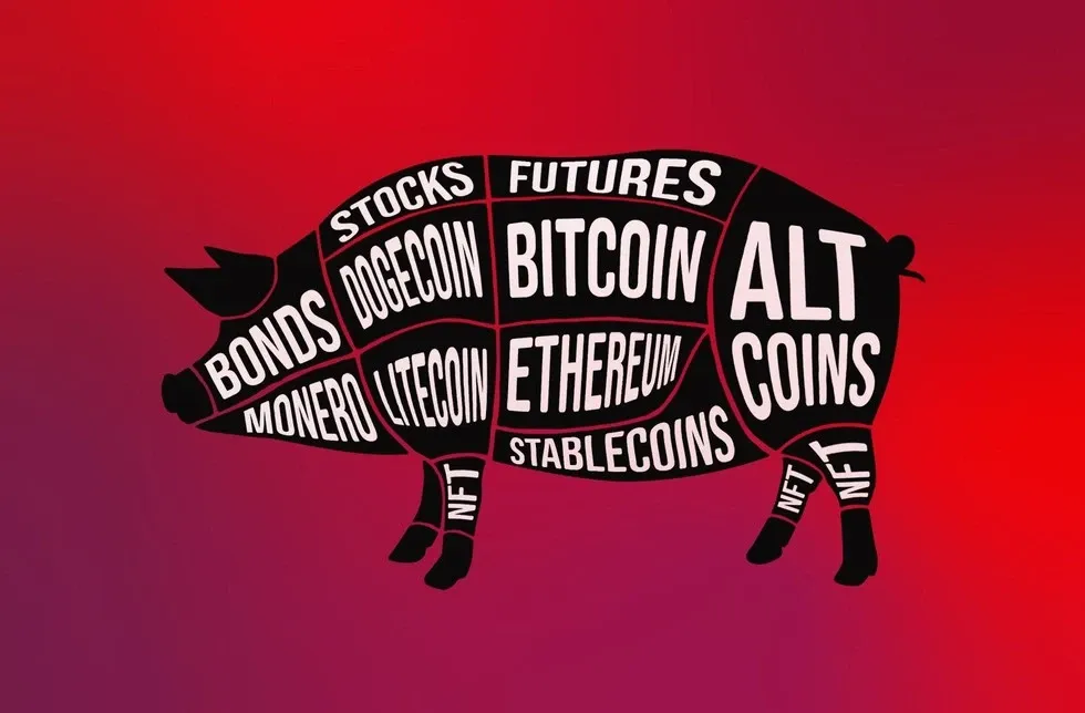 Pig Butchering Scam