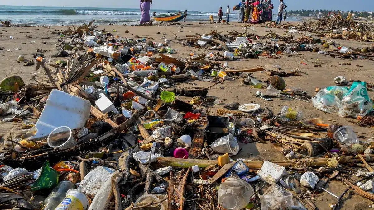 The Plastic Waste Management (Amendment) Rules 2024