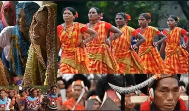PM JANMAN scheme can help Particularly Vulnerable Tribal Groups