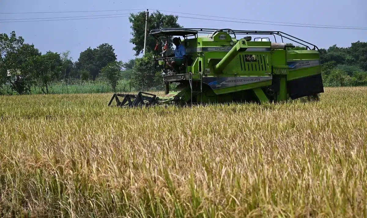 Pradhan Mantri Dhan Dhanya Krishi Yojana