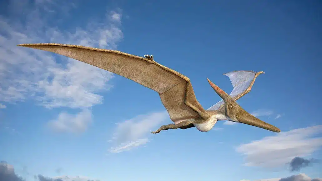 What is Pterosaur?