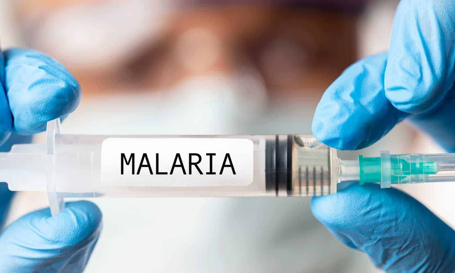 What is the R21/Matrix-M Vaccine?