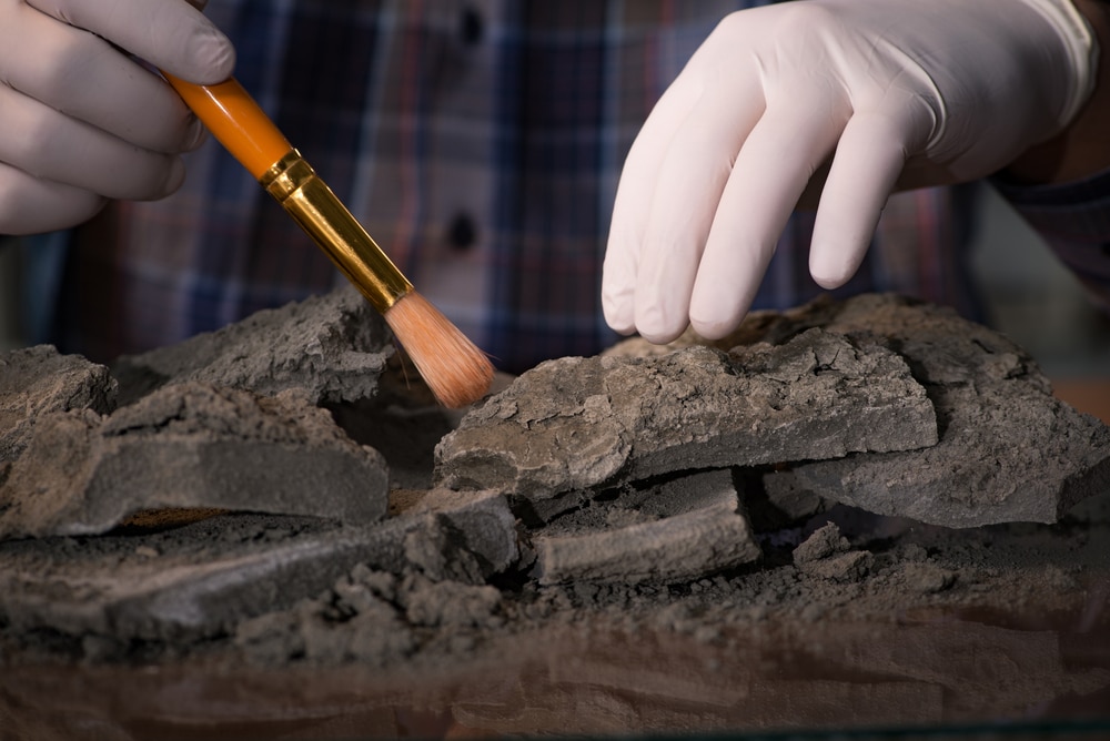 What is Radiocarbon Dating?