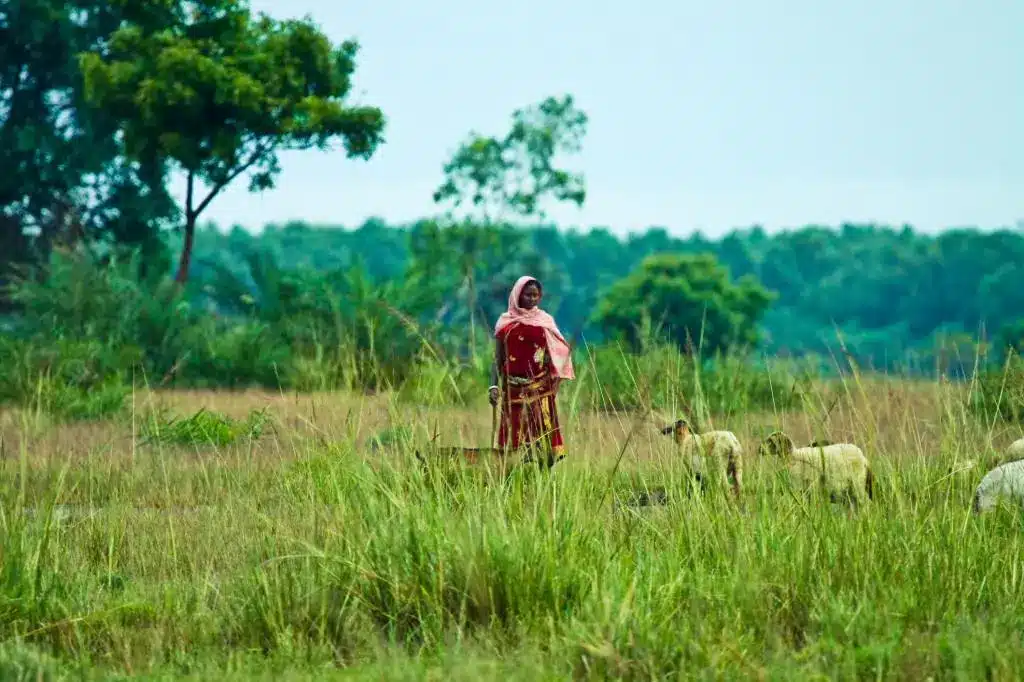 What are Rangelands?