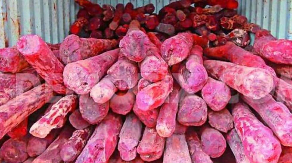 Red Sanders
