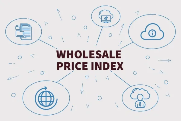 Replacing the Wholesale Price Index (WPI) with a Producer Price Index (PPI)