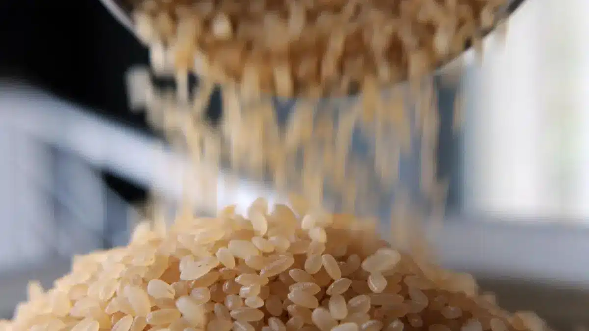 Why India Has Been Questioned at the WTO For Its Rice Export Policy