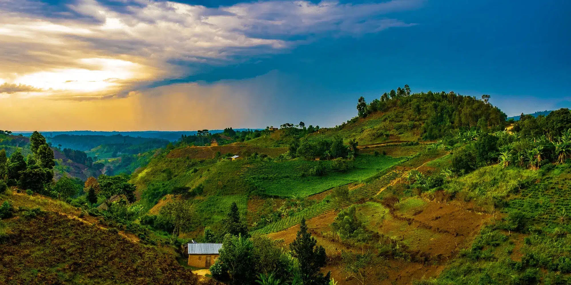 Key Facts about Rwanda