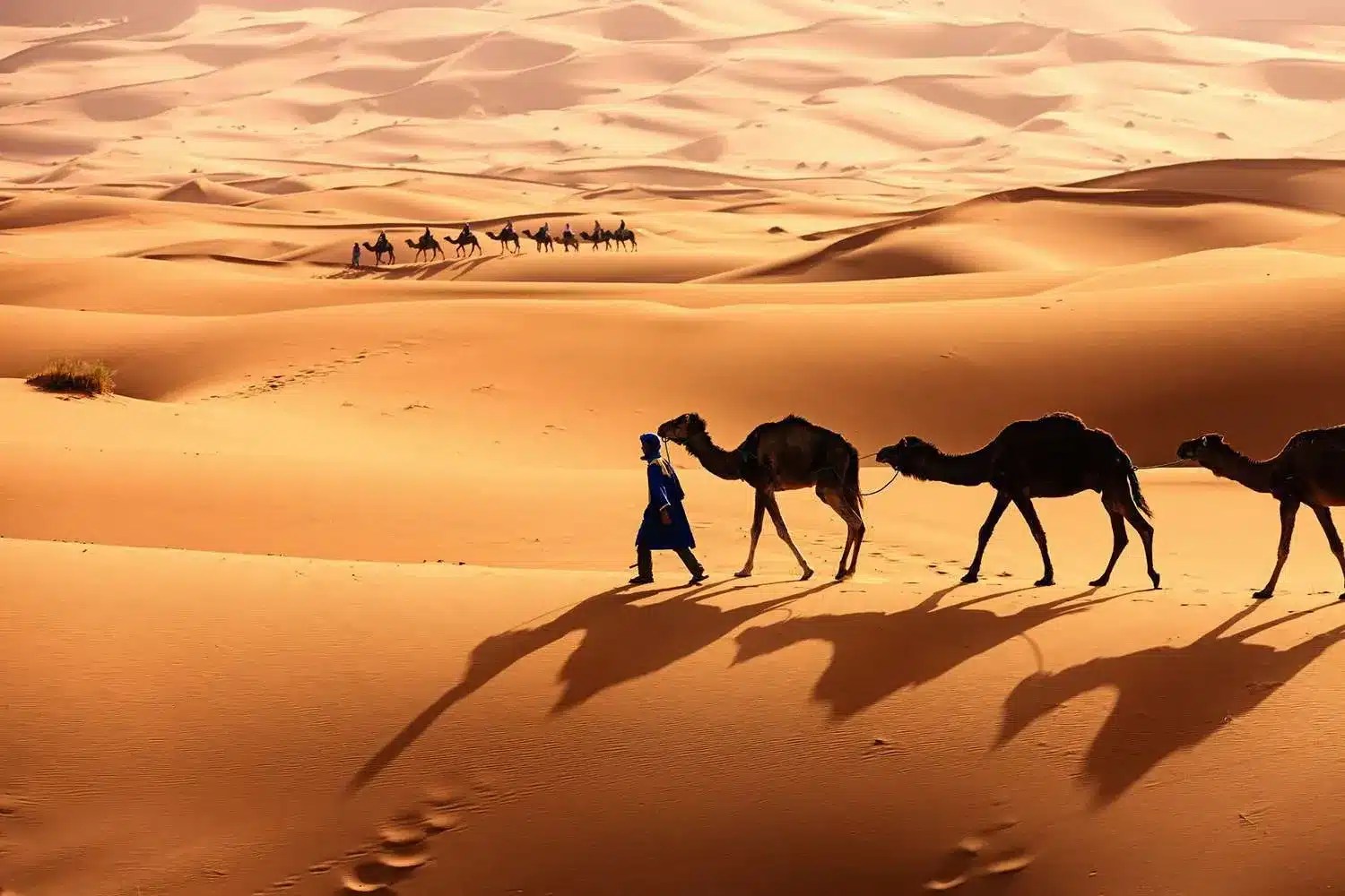Key Facts about Sahara Desert