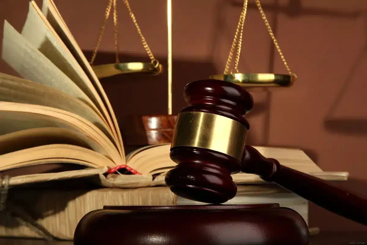 Section 294 of the Code of Criminal Procedure (CrPC)