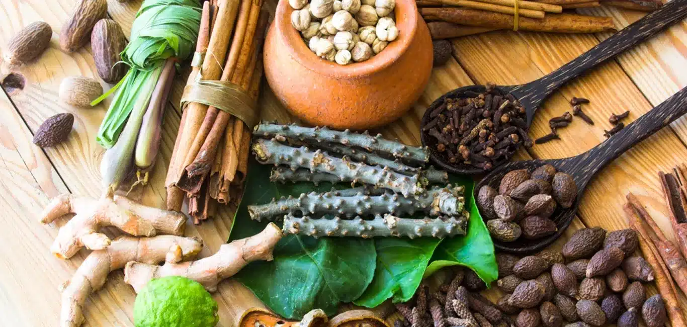 What is Siddha Medicine?
