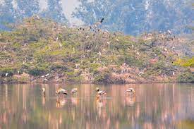 Sultanpur National Park