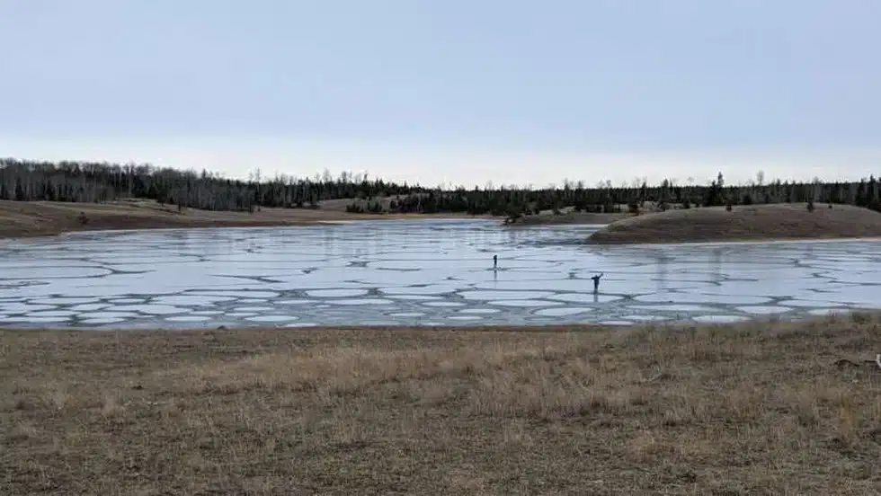 What is a Soda Lake?