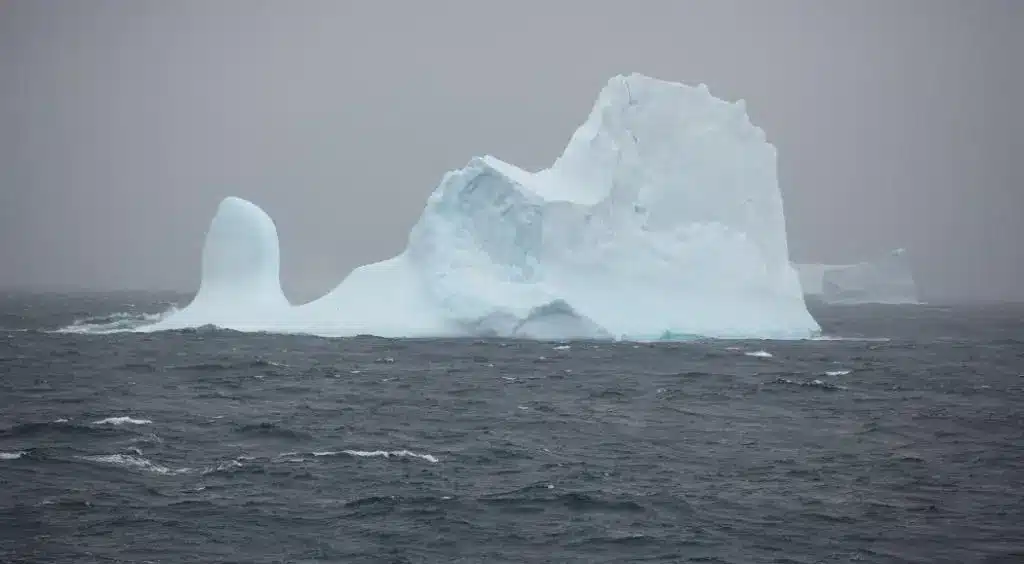 Southern Ocean