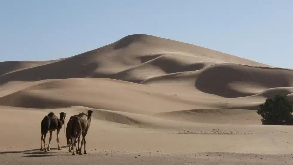 What are Star dunes?