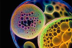 Stem cell therapy