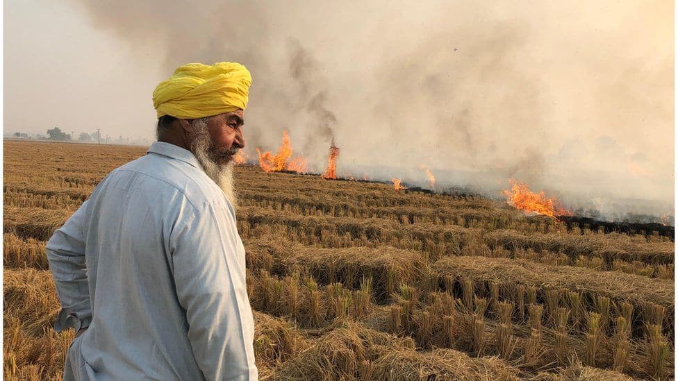 Stubble Burning Came Down 31.5% from Last Year