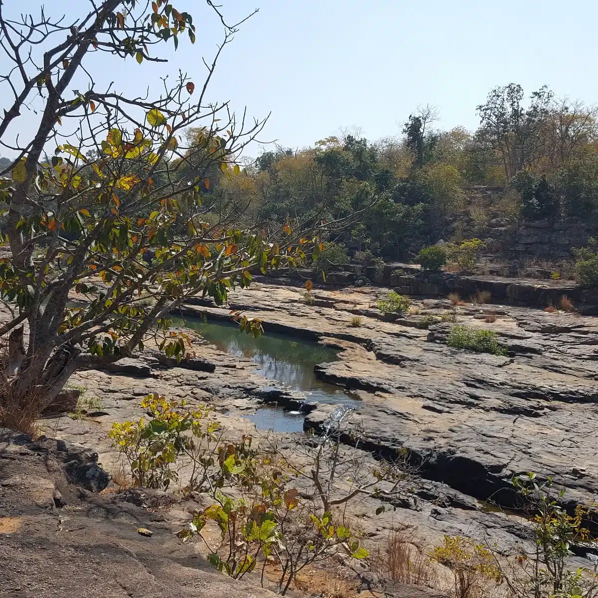Sunabeda Wildlife Sanctuary