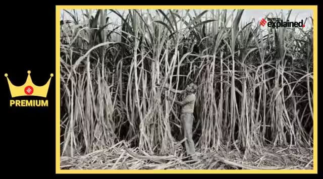 The Ethanol Impetus