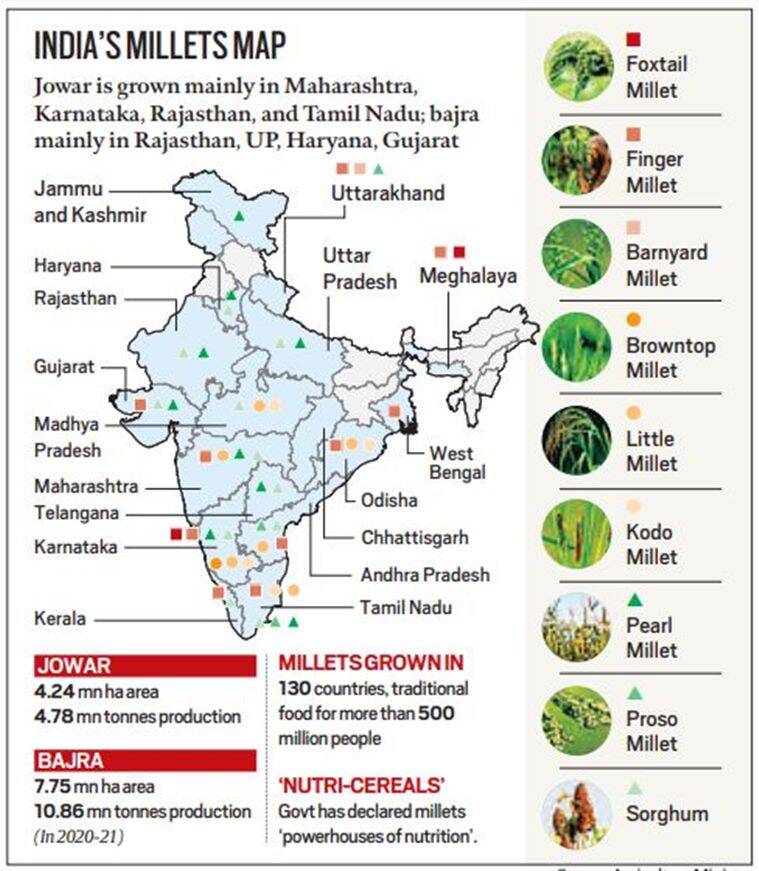The International Year of Millets