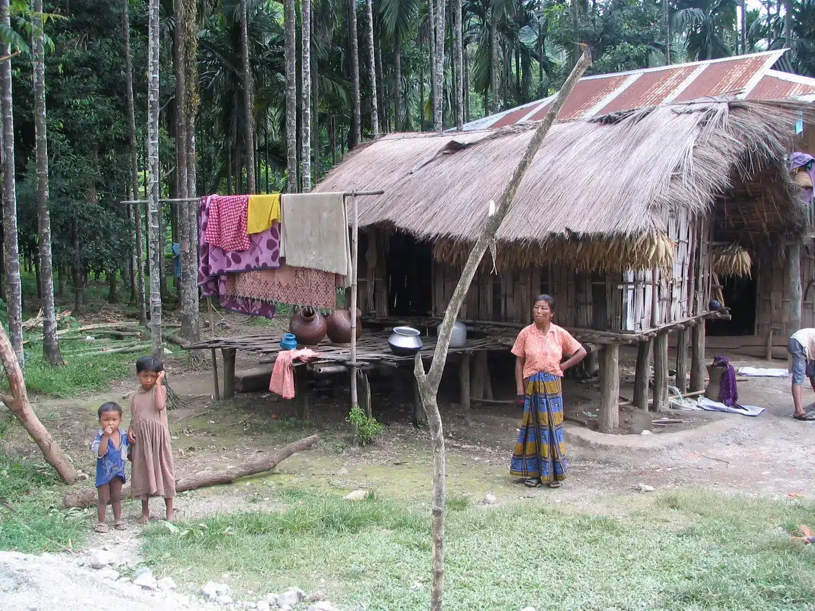Key Facts about Toto Tribe