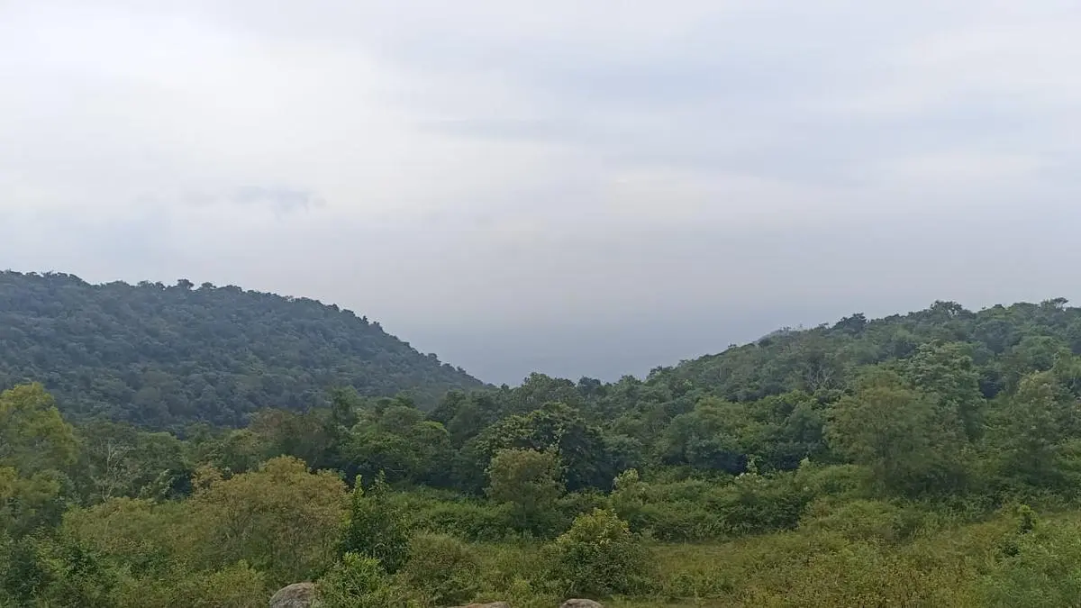 Thanthai Periyar Wildlife Sanctuary
