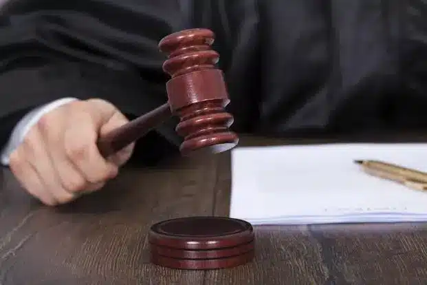 What are Tribunals in India?