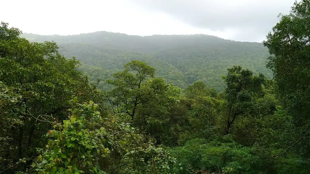 Tungareshwar Wildlife Sanctuary