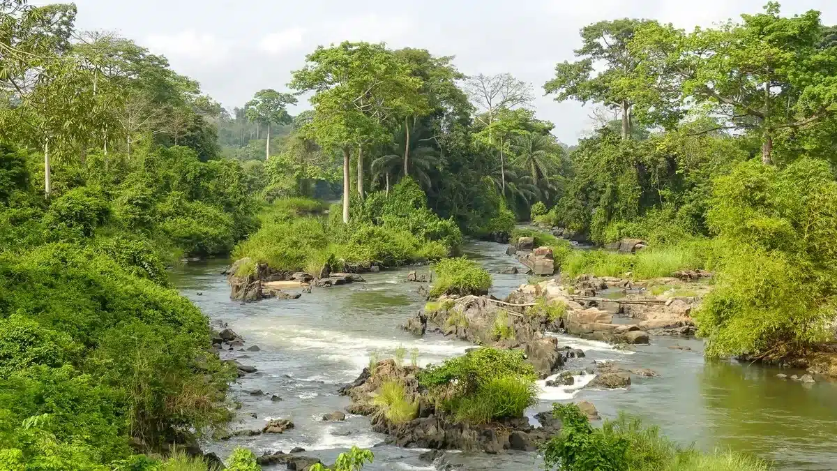 UN Water Convention