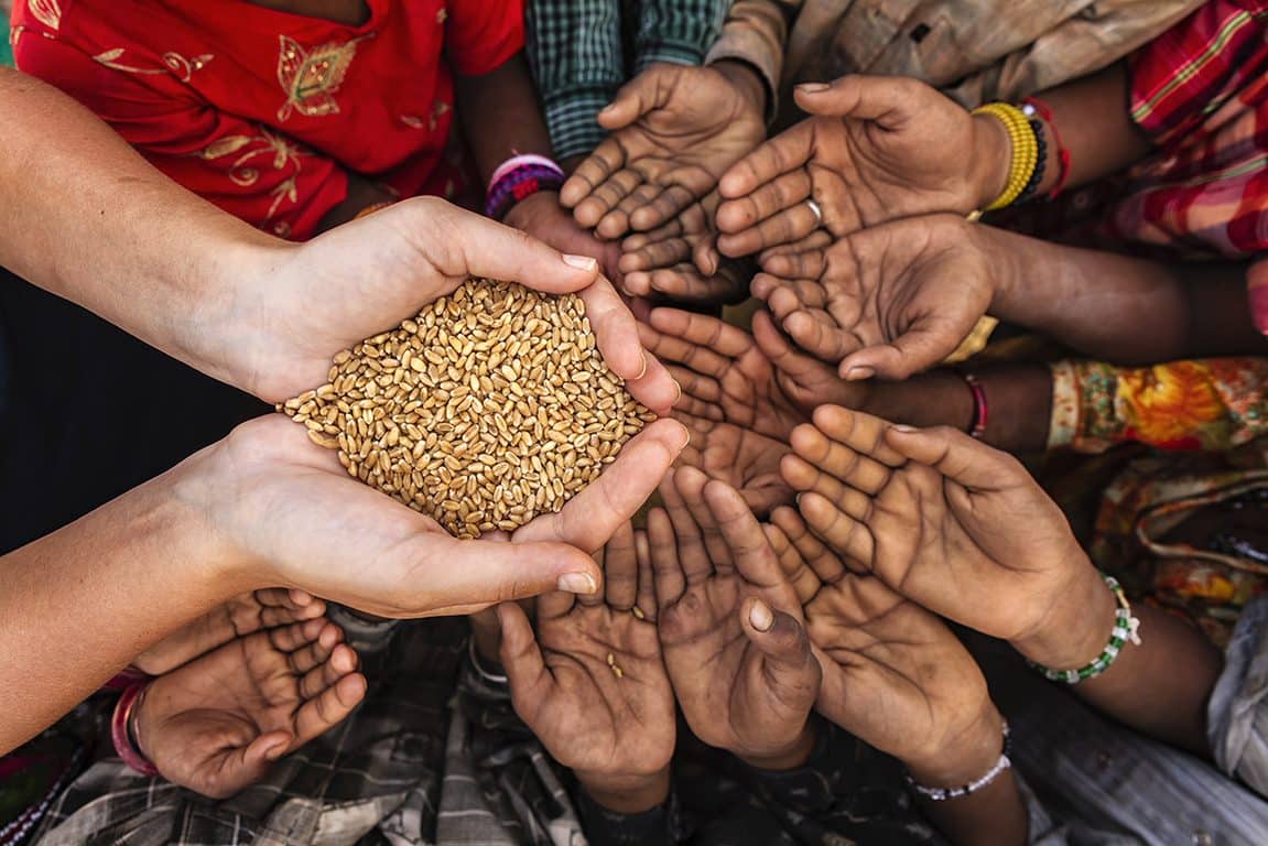 U.N. World Food Programme (WFP)