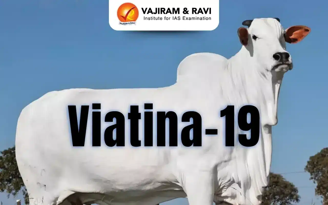 Viatina-19
