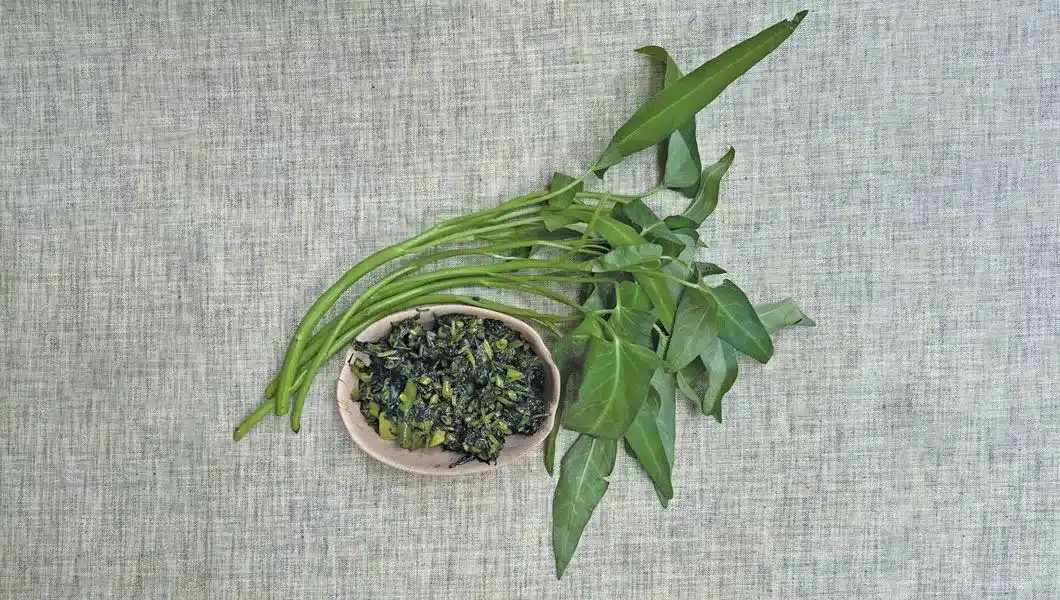 Water Spinach