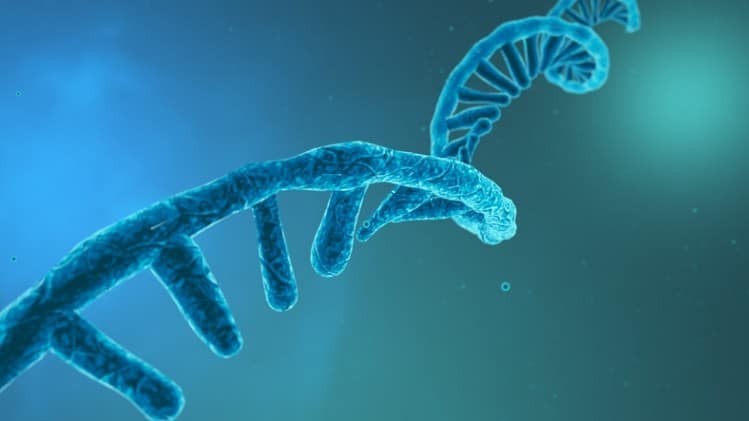 What are mRNA Vaccines?