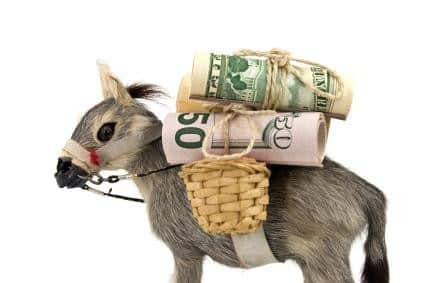 What is a Money Mule?