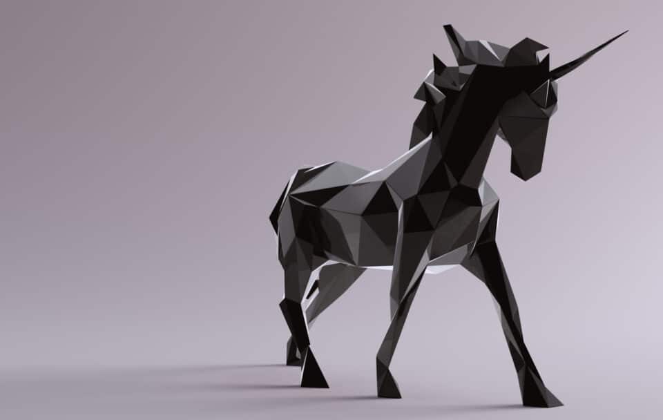What is a Unicorn Startup?