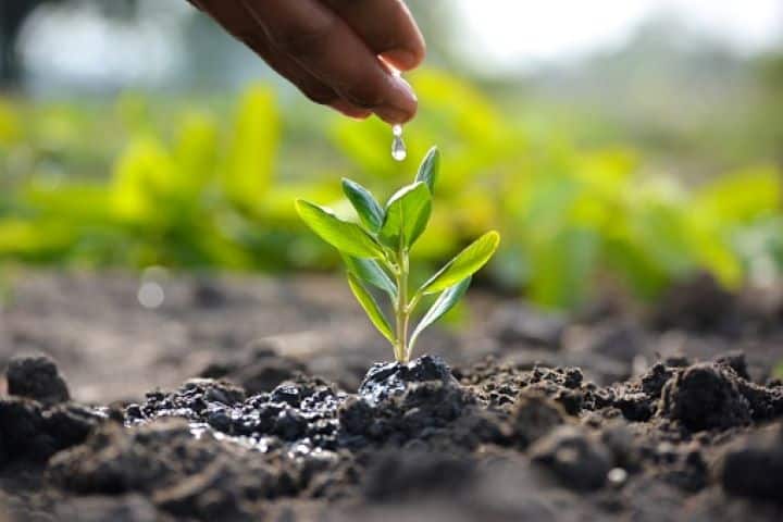 What is Bhu-Vision?