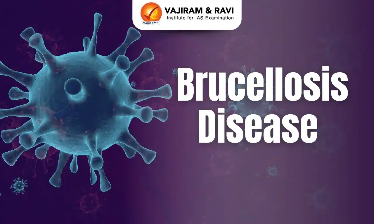 What is Brucellosis Disease?