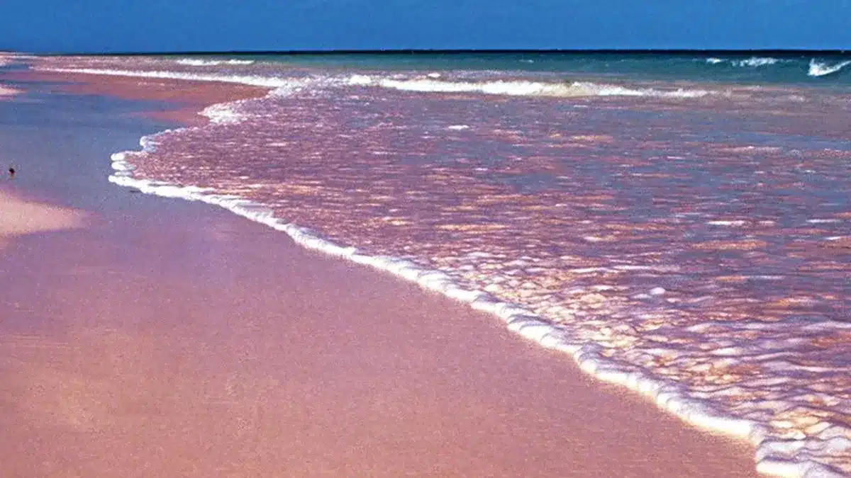 What is Garnet?