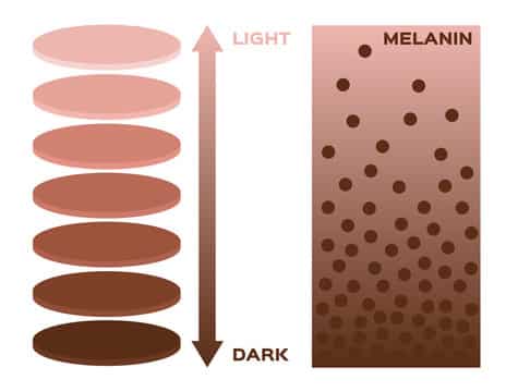 What is Melanin?