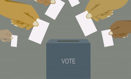 What Is the Status of Remote Voting for Nris?