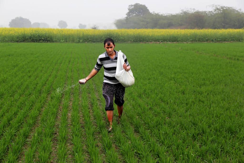 What is "Urea Gold"?