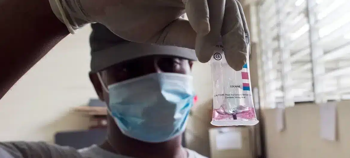 World Drug Report 2024