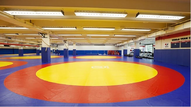 Wrestling Federation of India (WFI)