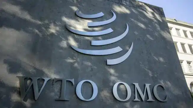 WTO MC13 -Agenda for India